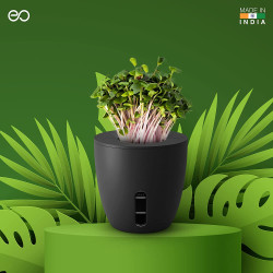 EO Self Watering Plant Pot Terra